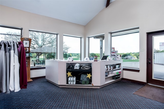 interior space with lofted ceiling and dark colored carpet