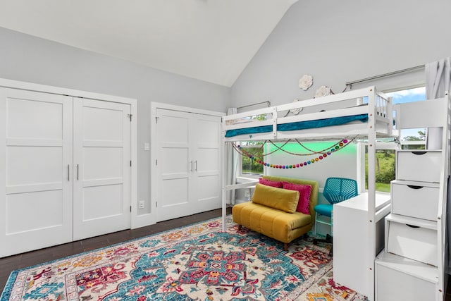 bedroom featuring multiple windows, high vaulted ceiling, and wood-type flooring