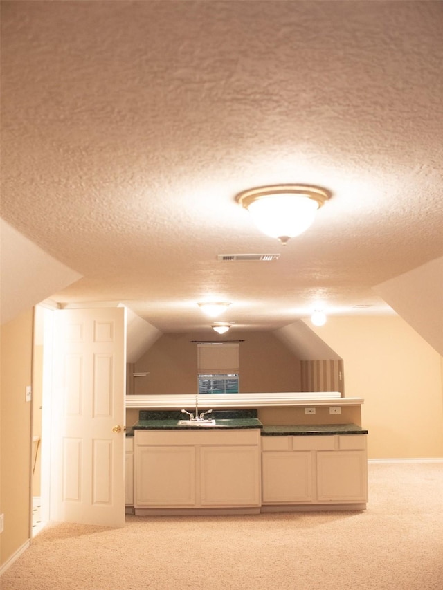 additional living space featuring sink, lofted ceiling, a textured ceiling, and light carpet