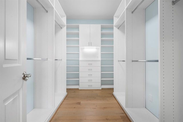 spacious closet with light wood finished floors