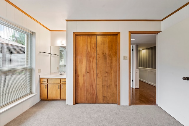 unfurnished bedroom with light colored carpet, sink, a closet, and crown molding