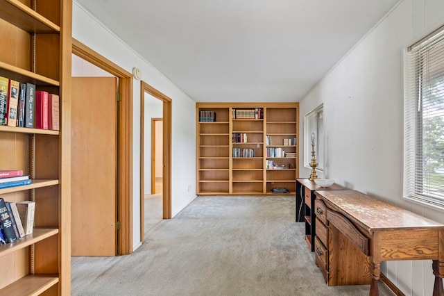 interior space with ornamental molding