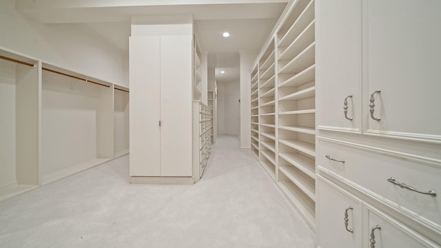 spacious closet with light carpet