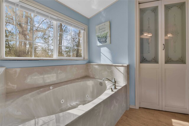 bathroom with hardwood / wood-style floors