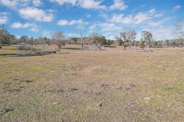 view of yard featuring a rural view