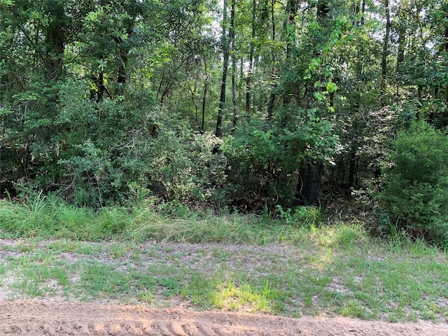 TBD Wood Forest Dr, New Waverly TX, 77358 land for sale