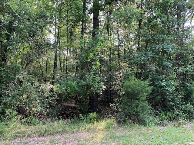 Listing photo 2 for TBD Wood Forest Dr, New Waverly TX 77358