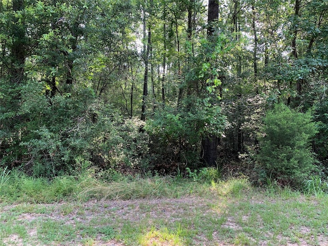 Listing photo 3 for TBD Wood Forest Dr, New Waverly TX 77358