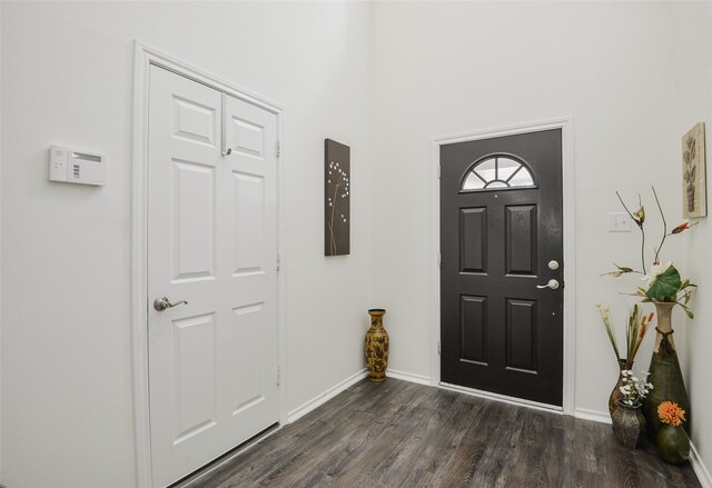 entryway with dark hardwood / wood-style floors