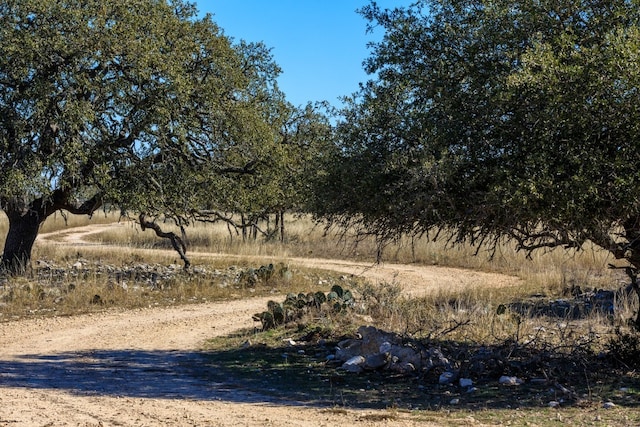 view of local wilderness with a rural view