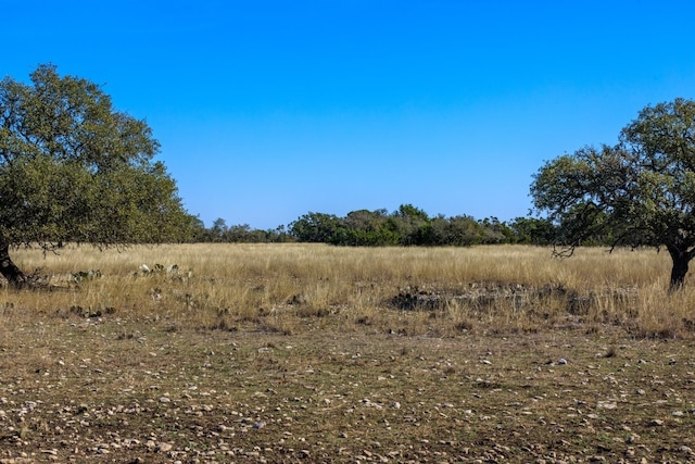 view of local wilderness featuring a rural view