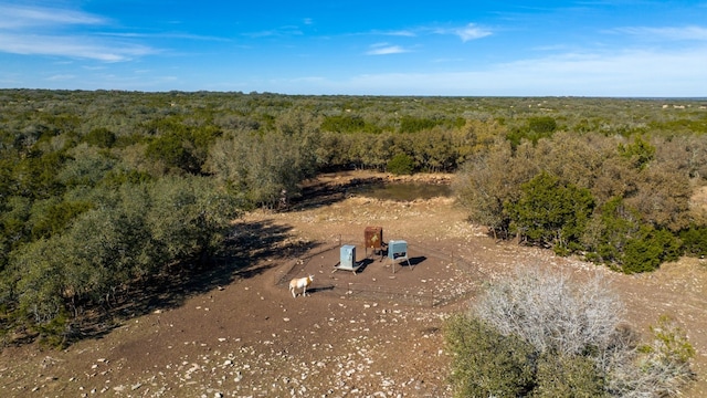 view of drone / aerial view