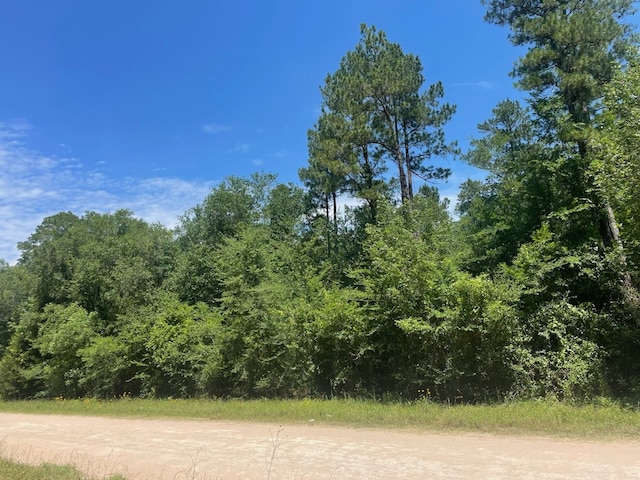 10/- Lessa Ln, Huntsville TX, 77340 land for sale