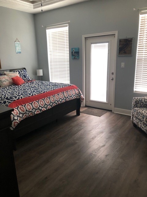 bedroom with dark hardwood / wood-style flooring, a tray ceiling, and multiple windows