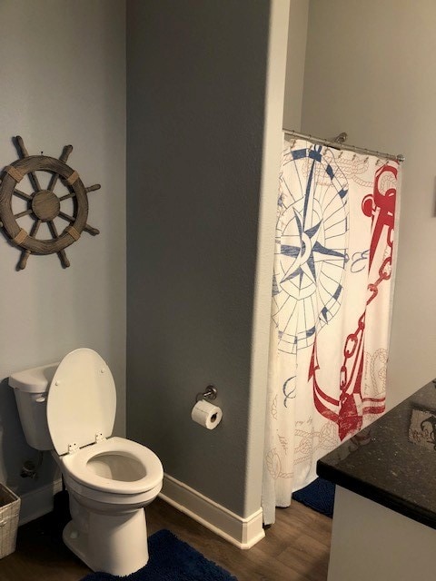 bathroom featuring hardwood / wood-style flooring, vanity, and toilet