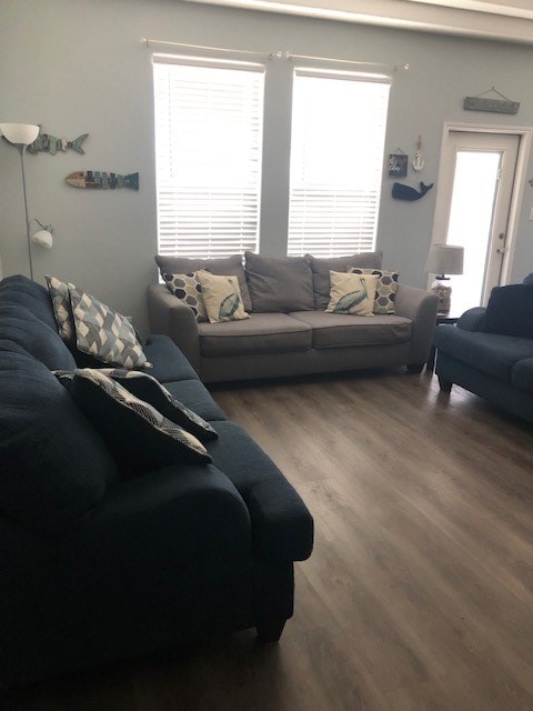 living room with dark hardwood / wood-style flooring