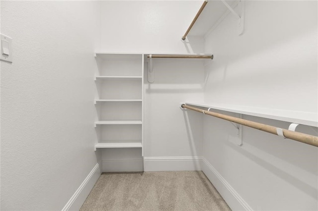 spacious closet with light colored carpet