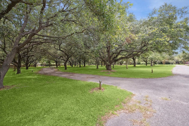 view of home's community with a lawn