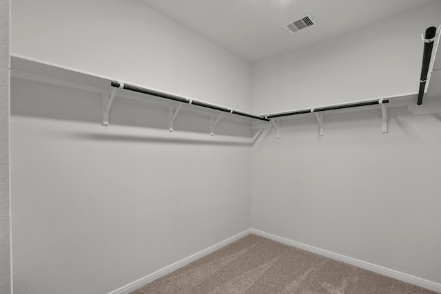 spacious closet featuring carpet flooring