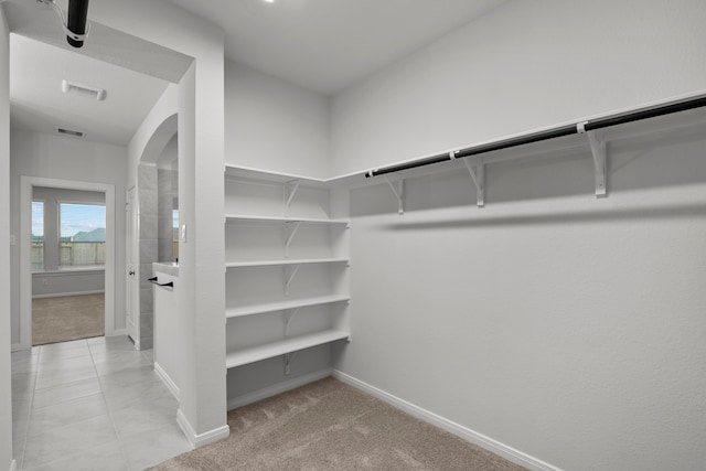 spacious closet with light carpet