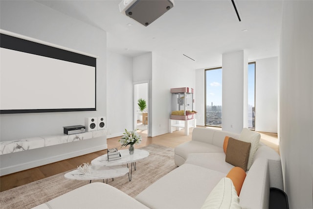 cinema room featuring light hardwood / wood-style floors