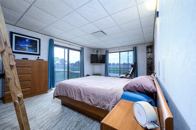 bedroom with carpet and multiple windows