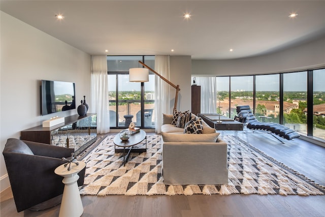 living room with wood-type flooring and plenty of natural light