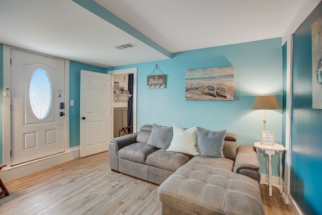 living room featuring light hardwood / wood-style flooring