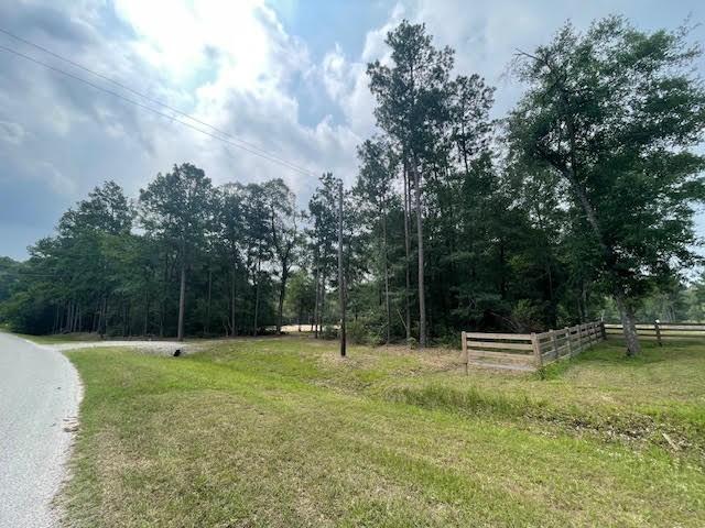28171 Joseph Rd, Hockley, TX 77447 - photo 6