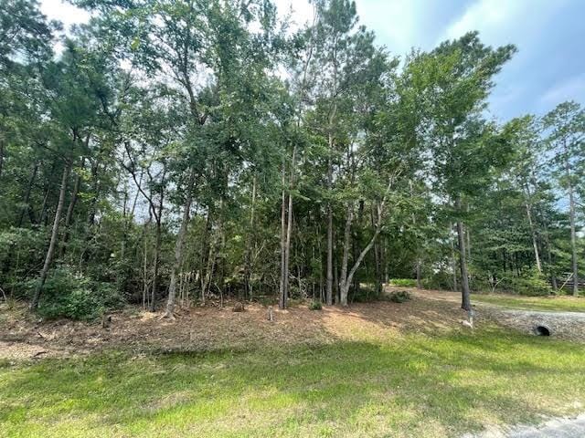 28171 Joseph Rd, Hockley, TX 77447 - photo 5