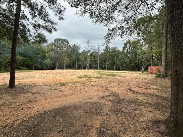 28171 Joseph Rd, Hockley, TX 77447 - photo 1
