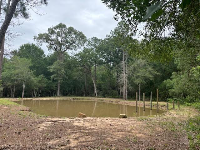 28171 Joseph Rd, Hockley, TX 77447 - photo 3