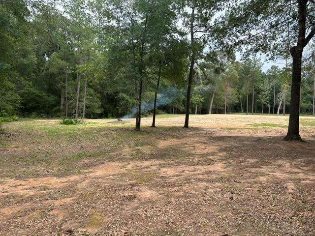 28171 Joseph Rd, Hockley, TX 77447 - photo 9