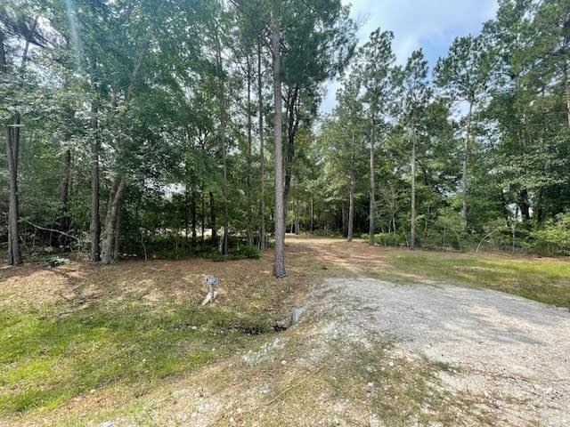 28171 Joseph Rd, Hockley, TX 77447 - photo 13
