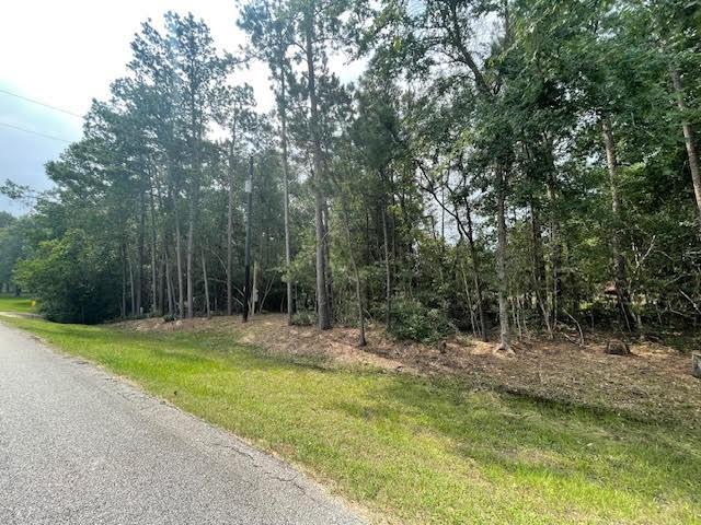 28171 Joseph Rd, Hockley, TX 77447 - photo 14