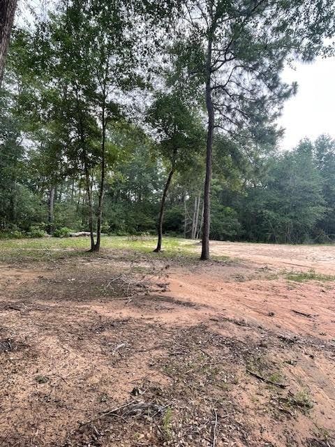 28171 Joseph Rd, Hockley, TX 77447 - photo 16