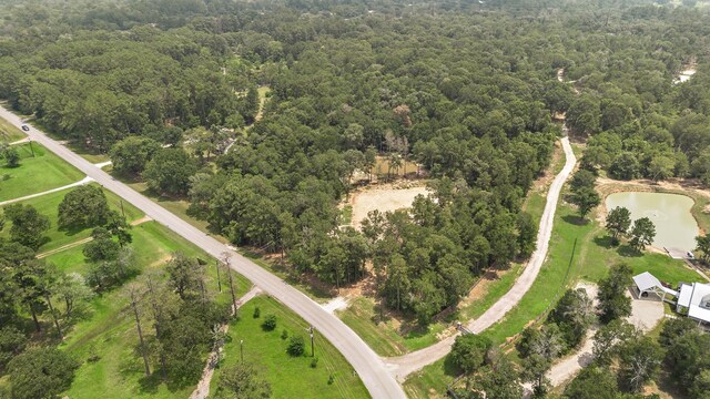 28171 Joseph Rd, Hockley, TX 77447 - photo 18