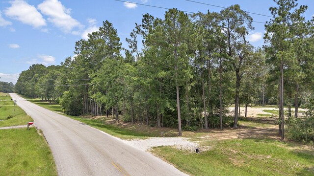 28171 Joseph Rd, Hockley, TX 77447 - photo 4