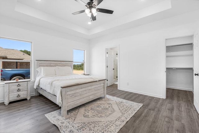 bedroom with a walk in closet, a tray ceiling, ceiling fan, and dark wood-type flooring