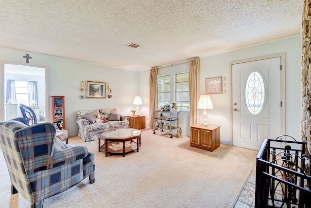 carpeted living room with plenty of natural light and a textured ceiling