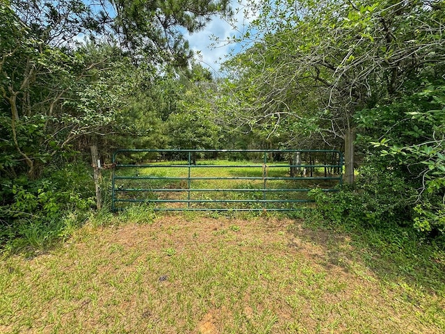 549 Fm 3279, Bronson TX, 75972 land for sale