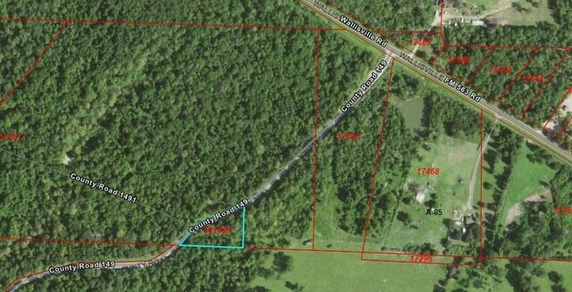 TBD County Road 149, Liberty, TX 77575 - photo 5
