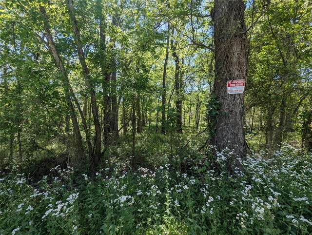 TBD County Road 149, Liberty, TX 77575 - photo 7