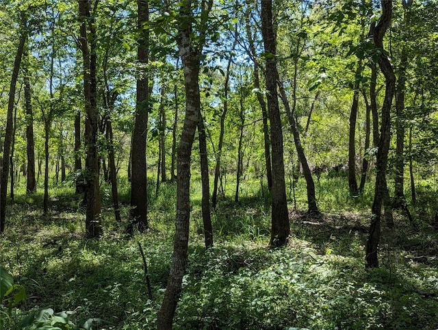 TBD County Road 149, Liberty, TX 77575 - photo 8