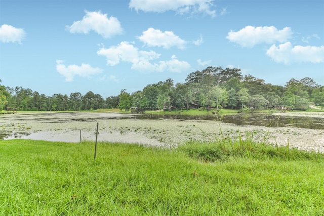 view of yard featuring a water view