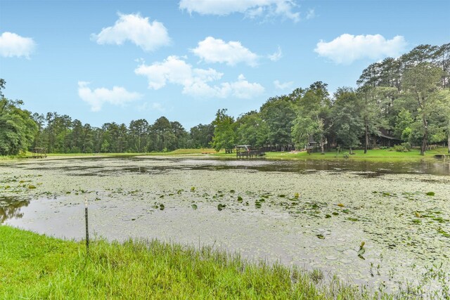 11158 Quinlan N Lake Dr, Conroe, TX 77303 - photo 6