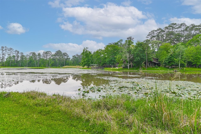 11158 Quinlan N Lake Dr, Conroe, TX 77303 - photo 24