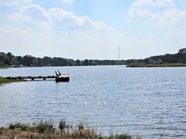 view of water feature with a dock