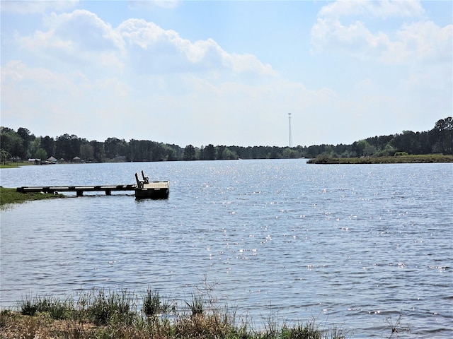 19356 Cabango Dr, Porter, TX 77365 - water view with a dock and a heavily wooded area