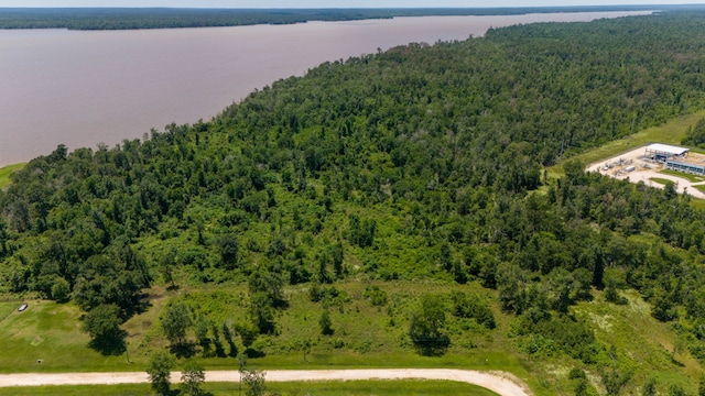 020 Falcon Pt, Onalaska, TX 77360